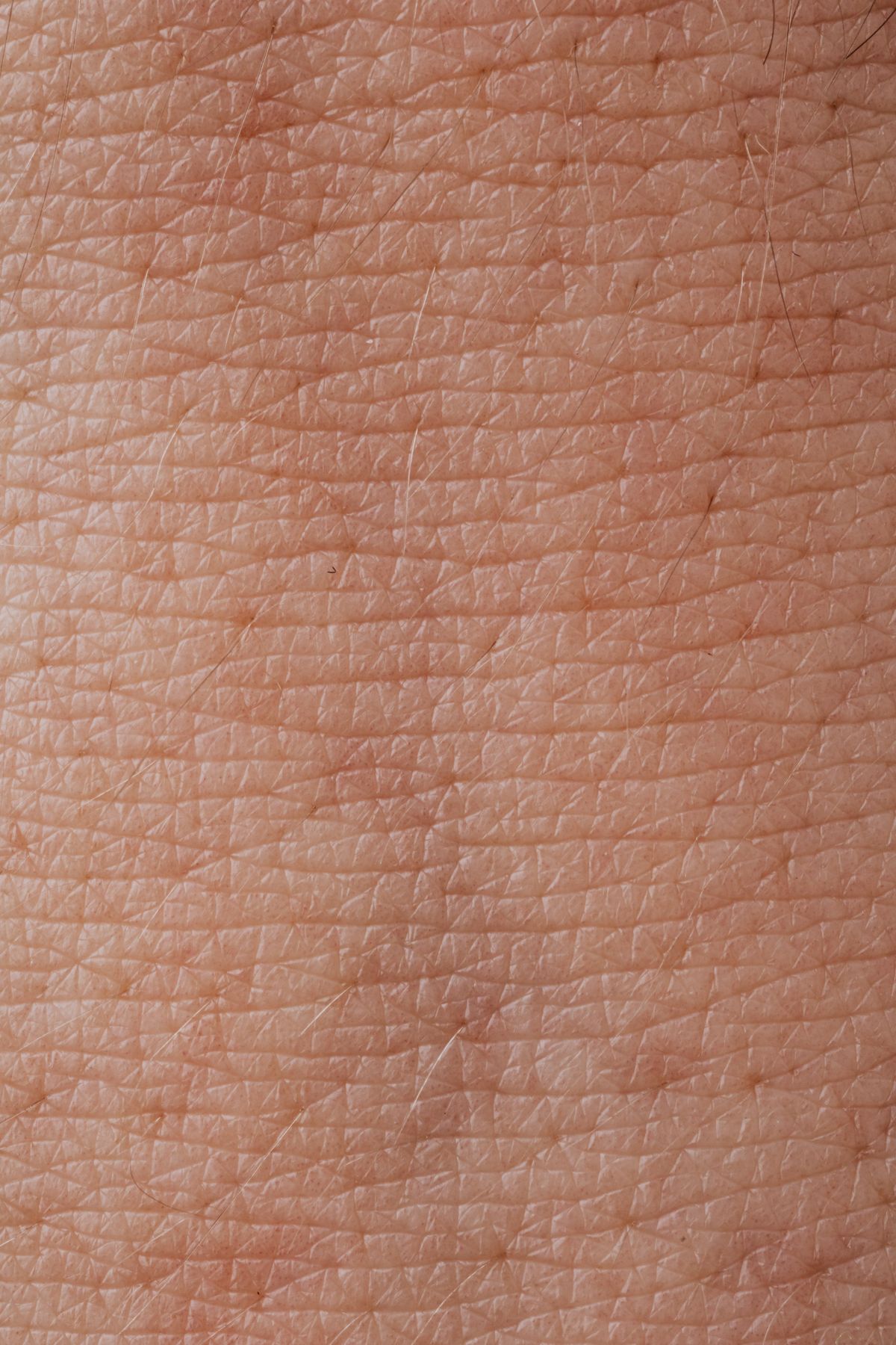 Macro de la textura de la piel y epidermis