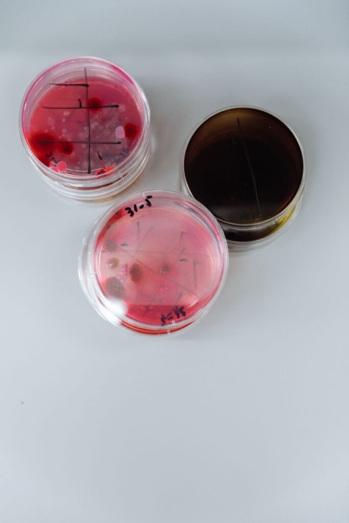 Placas de laboratorio para investigación científica